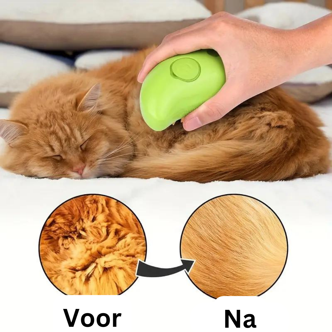 Honden Accessoires en Speelgoed Online
