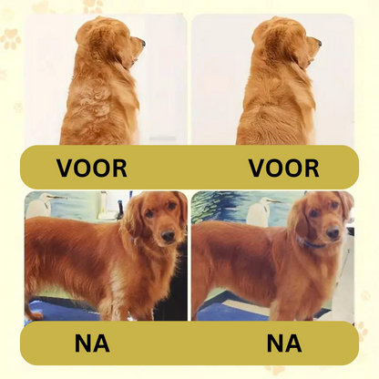 Honden Accessoires en Speelgoed Online