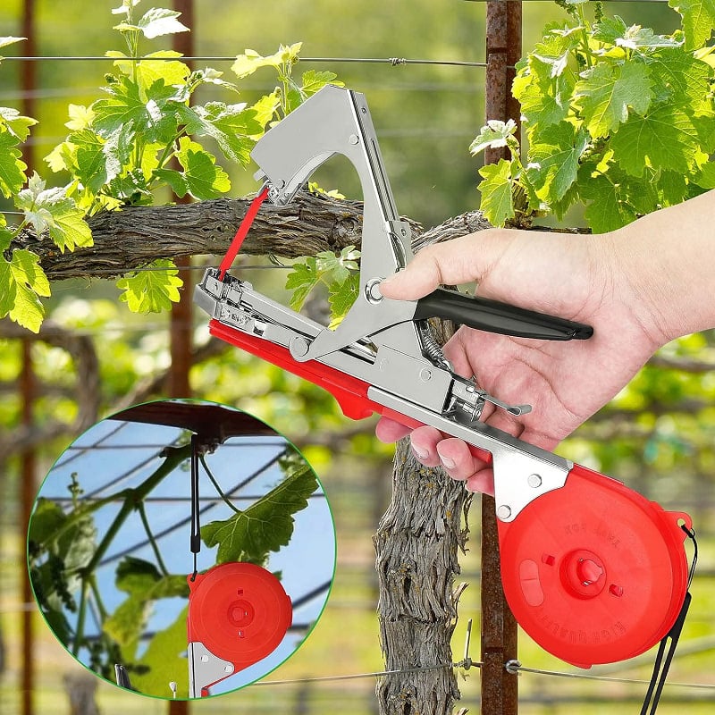 Planten Klem voor Stengels en Lattenwerk - Velinix