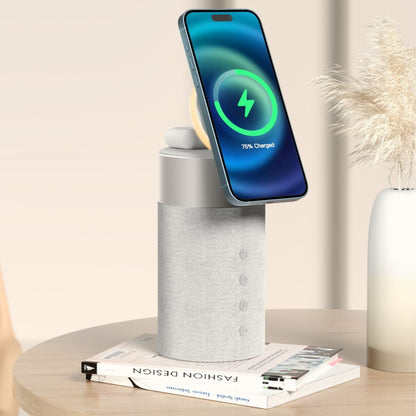 Draadloze Bluetooth Luidspreker met Oplader