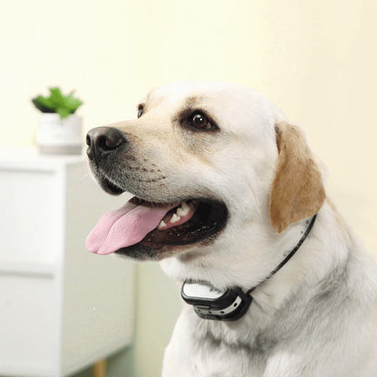 Draadloze Honden Trainhalsband met Elektronische Omheining