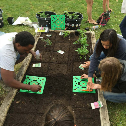 Planten Gids en Tuin Organisatie Tool voor Beginners