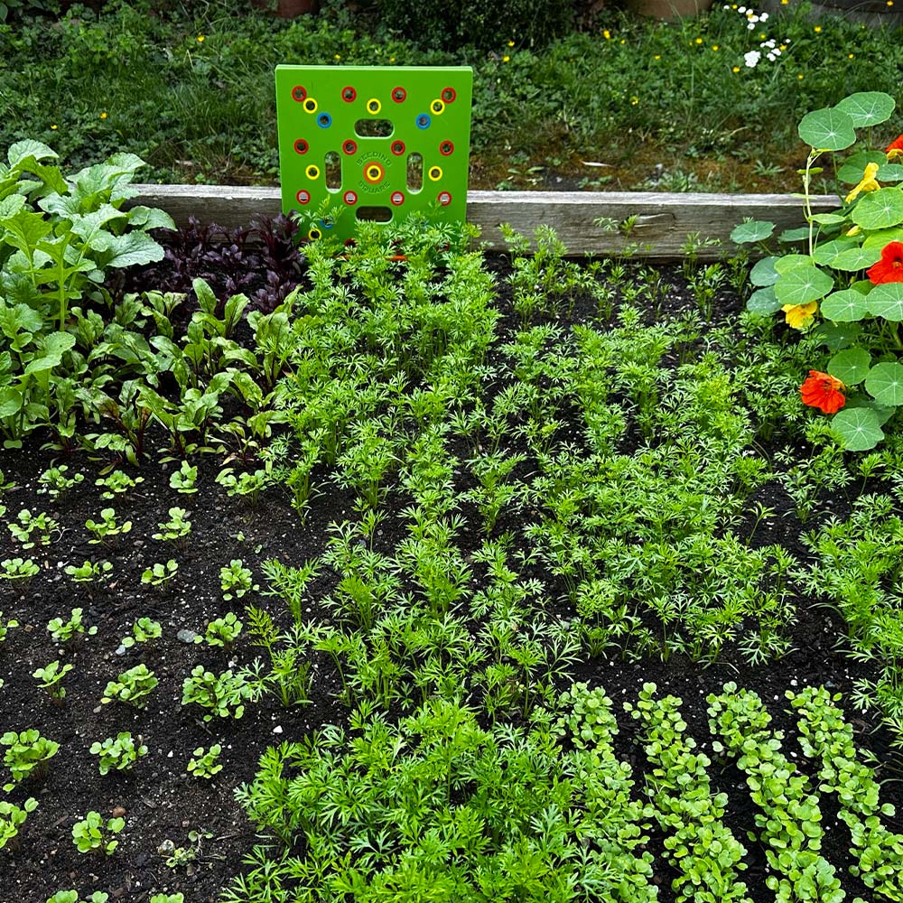 Planten Gids en Tuin Organisatie Tool voor Beginners