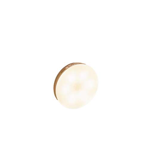 Draadloze LED Binnenlamp met Bewegingssensor - Velinix