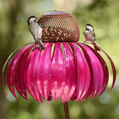 Vogelvoederhuis met Kegelbloemen voor een Kleurrijke Tuin