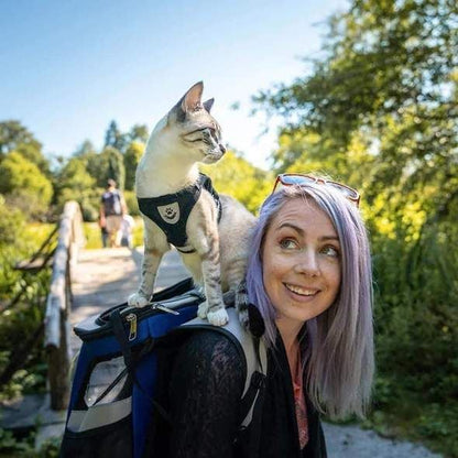 Reflecterende Kat Harnas Set met Leash en Verstelbare Bandjes voor Nachtelijke Wandelingen