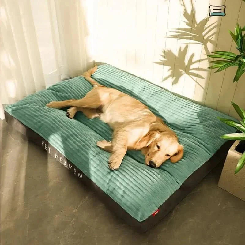 Orthopedisch Hondenbed Zacht en Ondersteunend voor Honden - Velinix