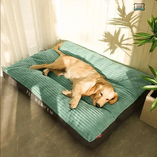 Orthopedisch Hondenbed Zacht en Ondersteunend voor Honden - Velinix