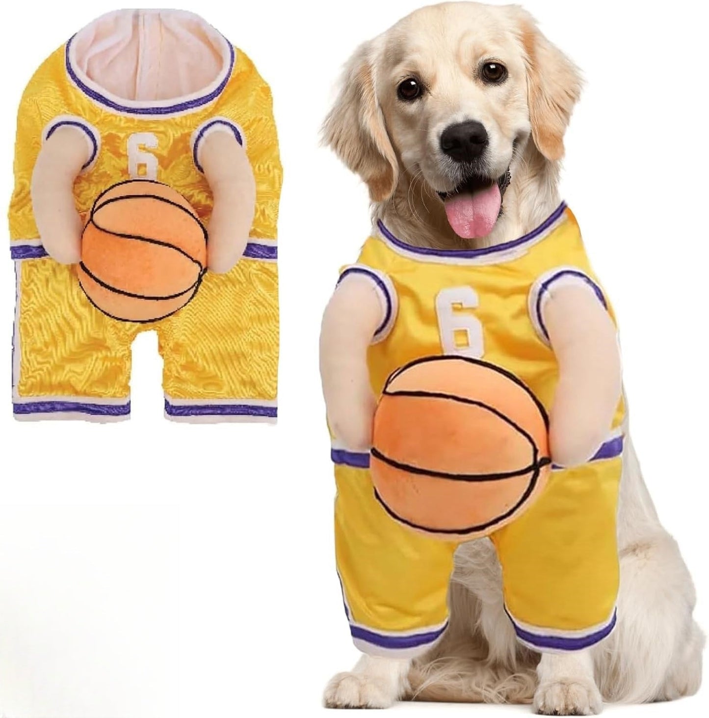 Honden Sportoutfit Met Bal Voor Actieve Honden