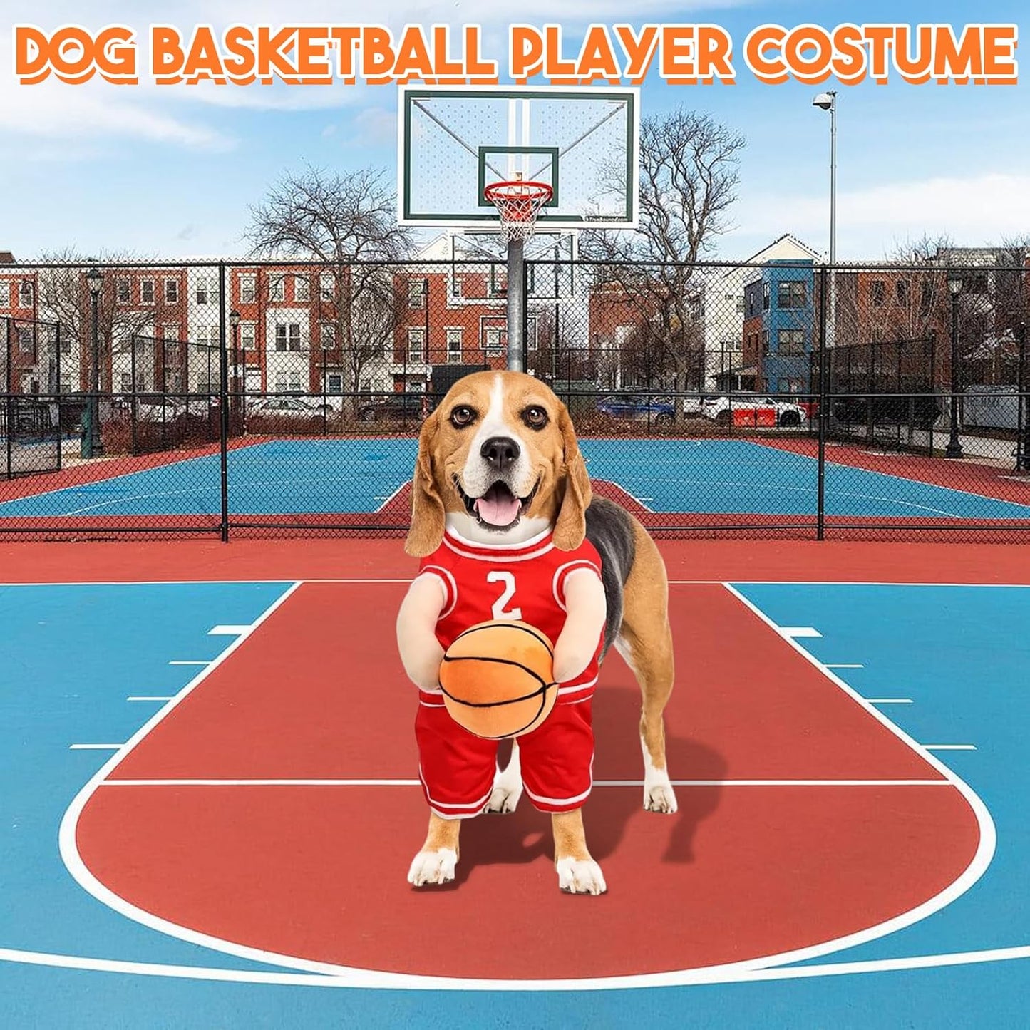 Honden Sportoutfit Met Bal Voor Actieve Honden