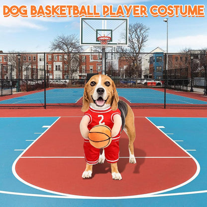 Honden Sportoutfit Met Bal Voor Actieve Honden