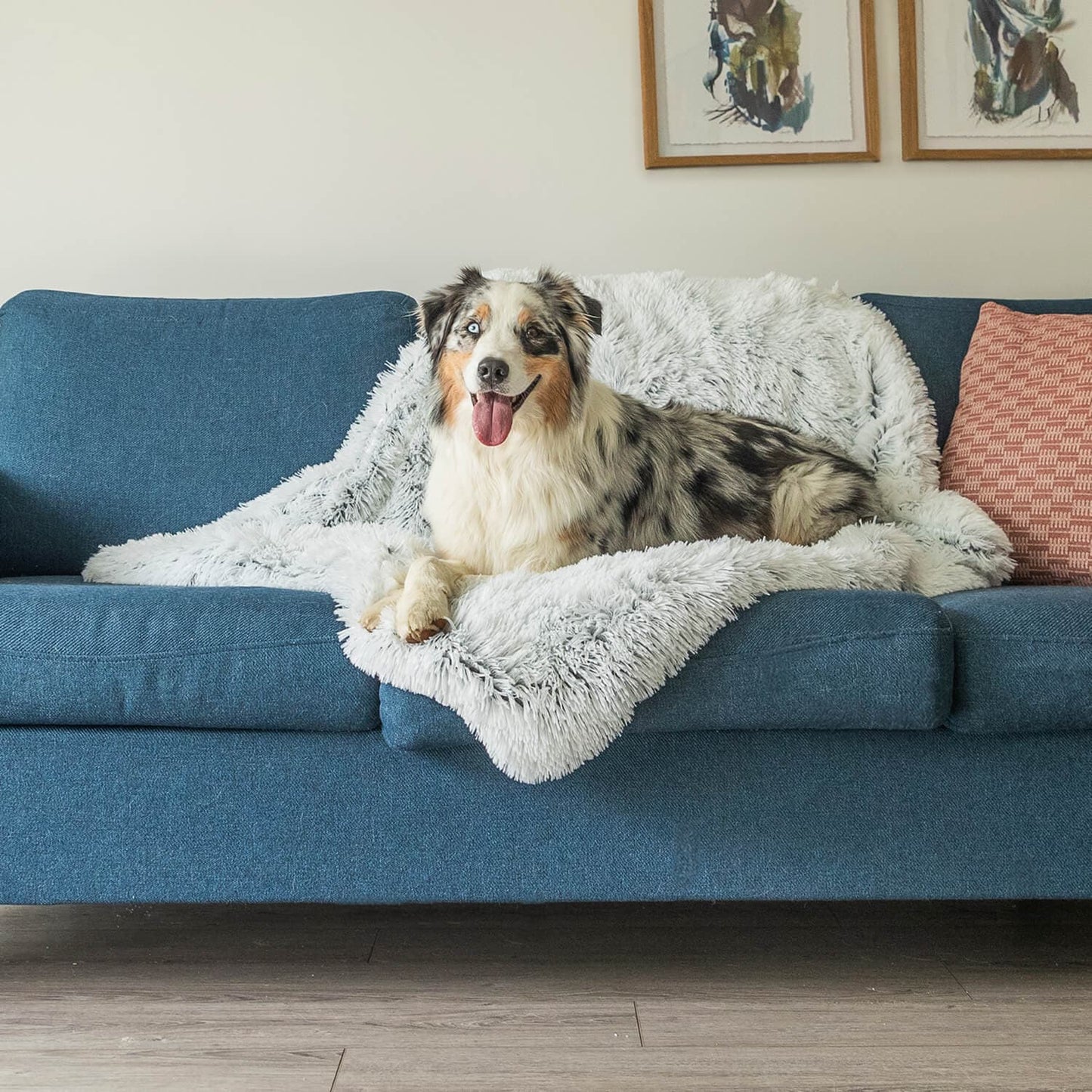 Zachte Hondendeken Luxe Plush voor Ontspanning en Slaap