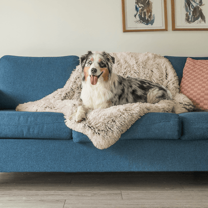 Zachte Hondendeken Luxe Plush voor Ontspanning en Slaap