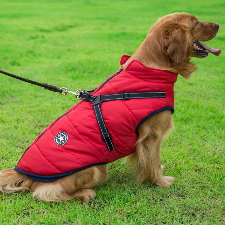 Hondjas met Harnas Waterdicht Warm voor Winter