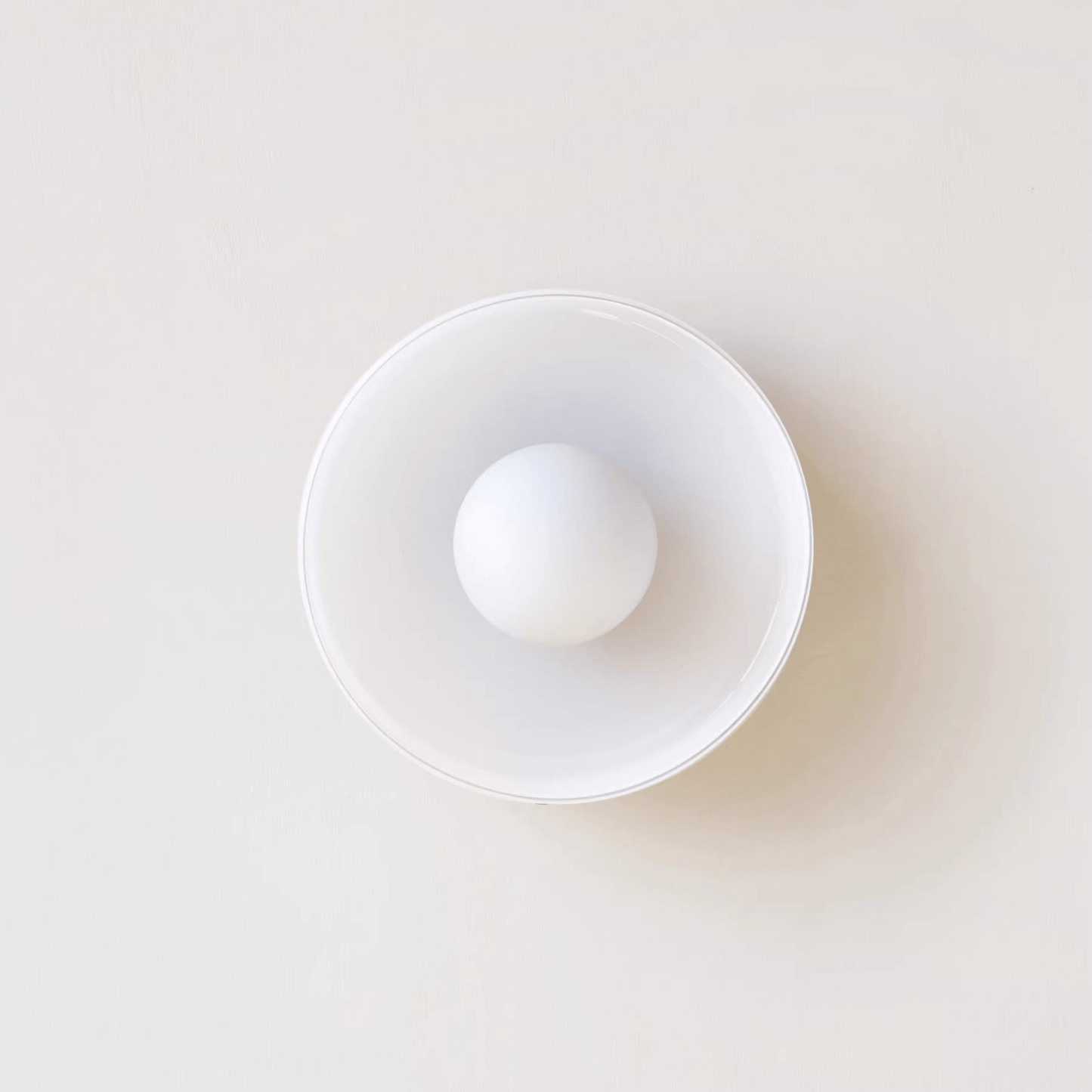 Ronde Plafondlamp LED Dimbaar Modern Design