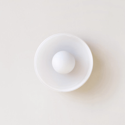Ronde Plafondlamp LED Dimbaar Modern Design
