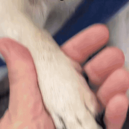 Veilige Nagelknipper voor Kinderen en Baby's