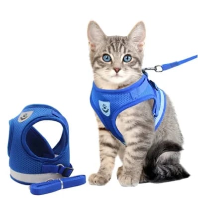 Reflecterende Kat Harnas Set met Leash en Verstelbare Bandjes voor Nachtelijke Wandelingen