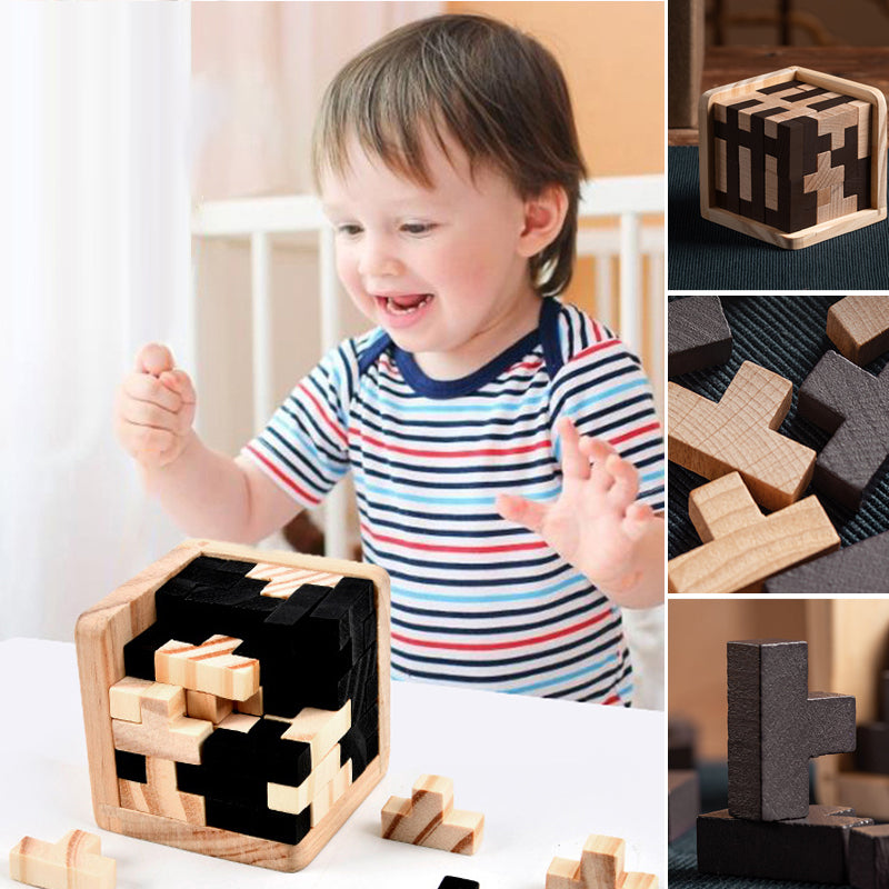 Houten Puzzel Brain Teaser Intelligentiespel voor Volwassenen