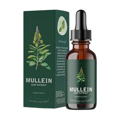 Mullein Supplement Glutenvrij voor Longen en Ademhaling - Velinix