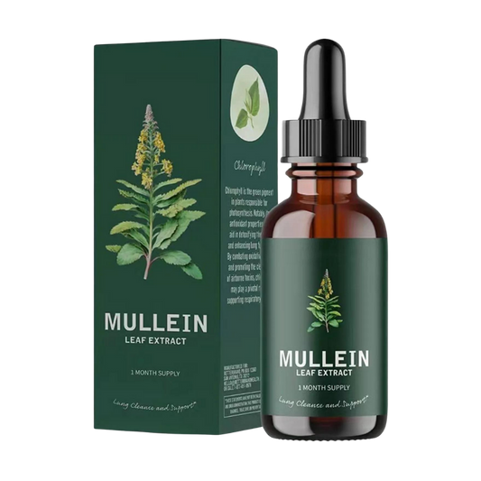 Mullein Supplement Glutenvrij voor Longen en Ademhaling - Velinix