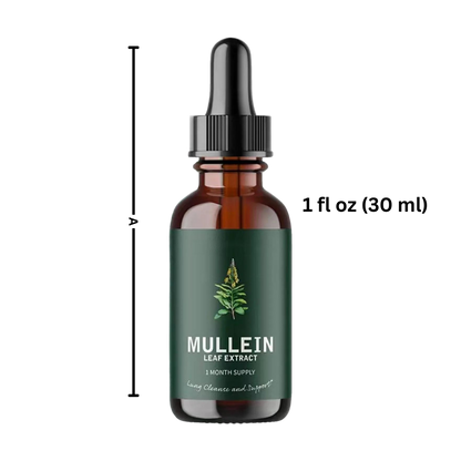 Mullein Supplement Glutenvrij voor Longen en Ademhaling