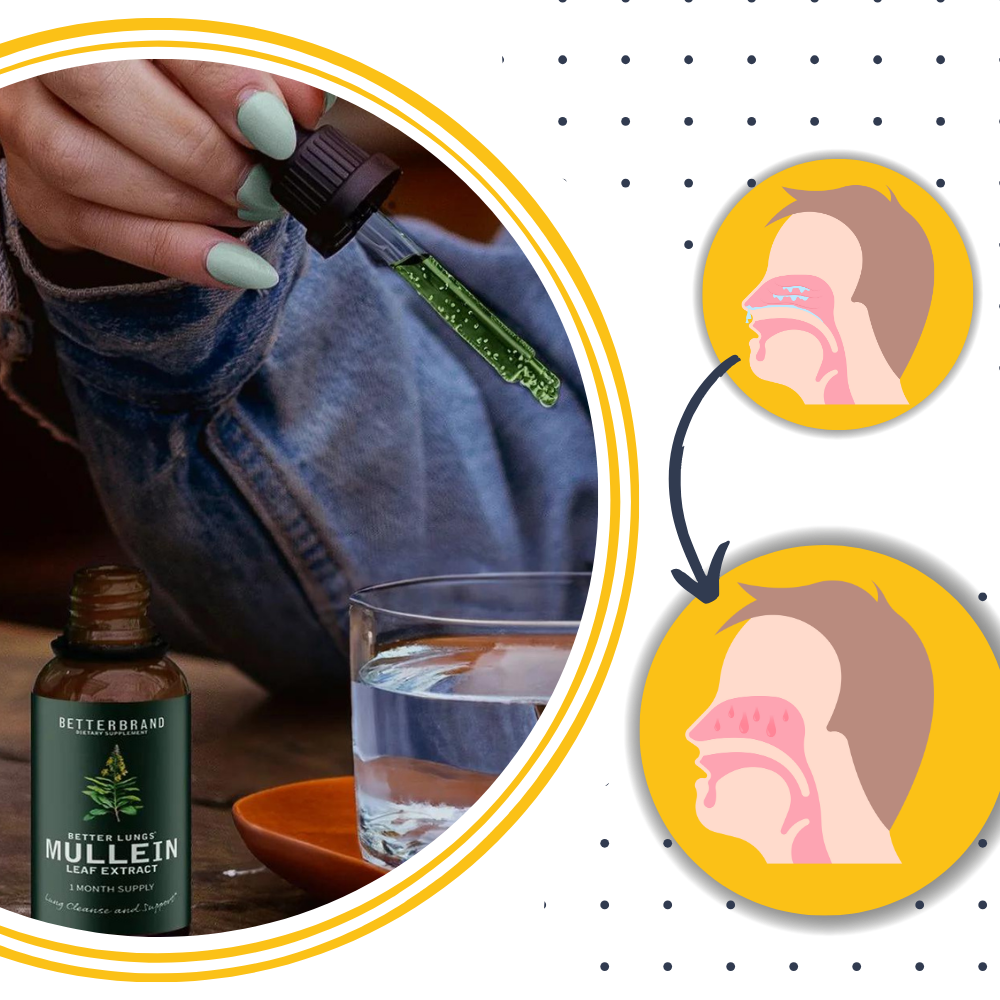 Mullein Supplement Glutenvrij voor Longen en Ademhaling