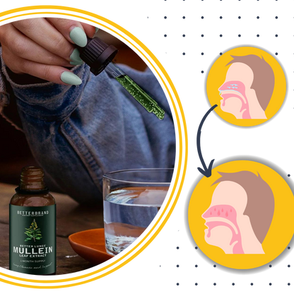 Mullein Supplement Glutenvrij voor Longen en Ademhaling