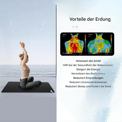 Aardingsmat van Carbonleer Antistatisch Beschermend