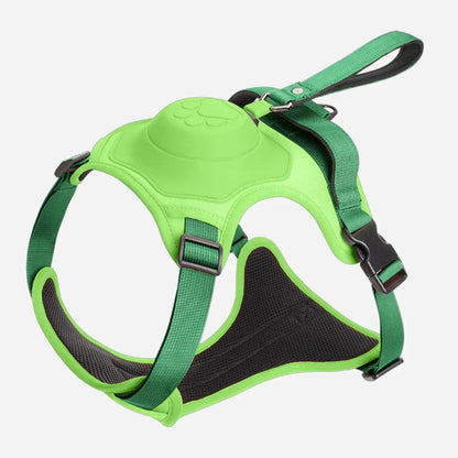 Huisdierriem met Flexibele Leash voor Honden