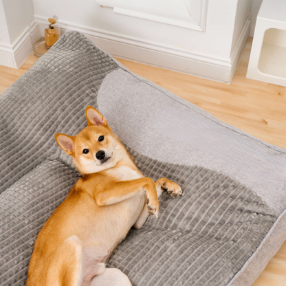 Orthopedisch Hondenbed Groot DikComfortabel Kussen voor Honden