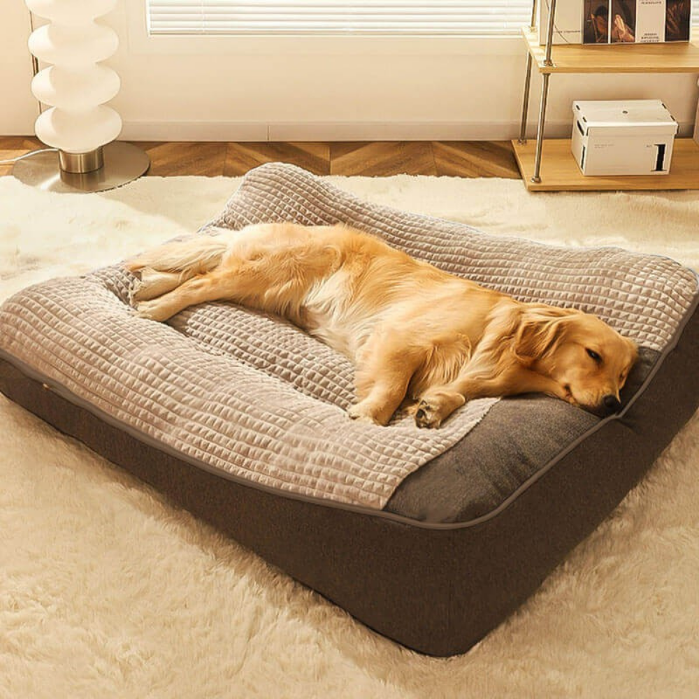 Orthopedisch Hondenbed Groot DikComfortabel Kussen voor Honden - Velinix