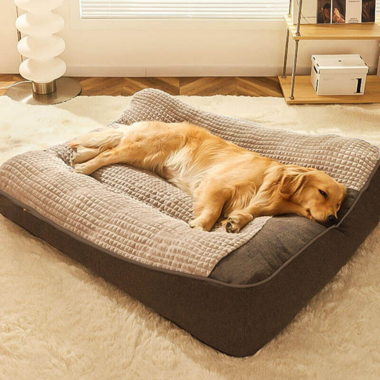 Orthopedisch Hondenbed Groot DikComfortabel Kussen voor Honden - Velinix