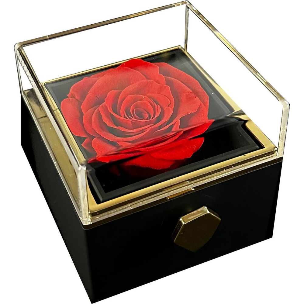 Valentijnsdag Sieradendoos met Eeuwige Roos Ketting