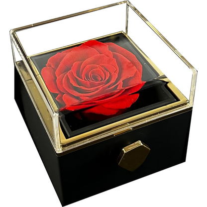 Valentijnsdag Sieradendoos met Eeuwige Roos Ketting