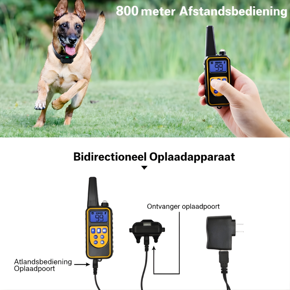 Hondentrainingshalsband Waterdicht Afstandsbediening Oplaadbaar