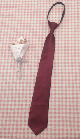 Stropdas Vest Satijnen Met Pochet voor Formele Gelegenheden