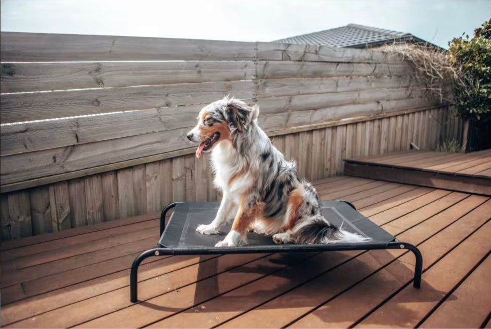 Huisdier Hangmat Luxe Comfortabel voor Katten en Honden