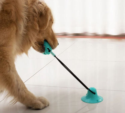 Speelgoed Hond Tug Toy Verstevigd voor Honden