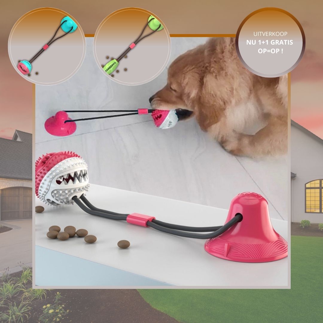 Speelgoed Hond Tug Toy Verstevigd voor Honden