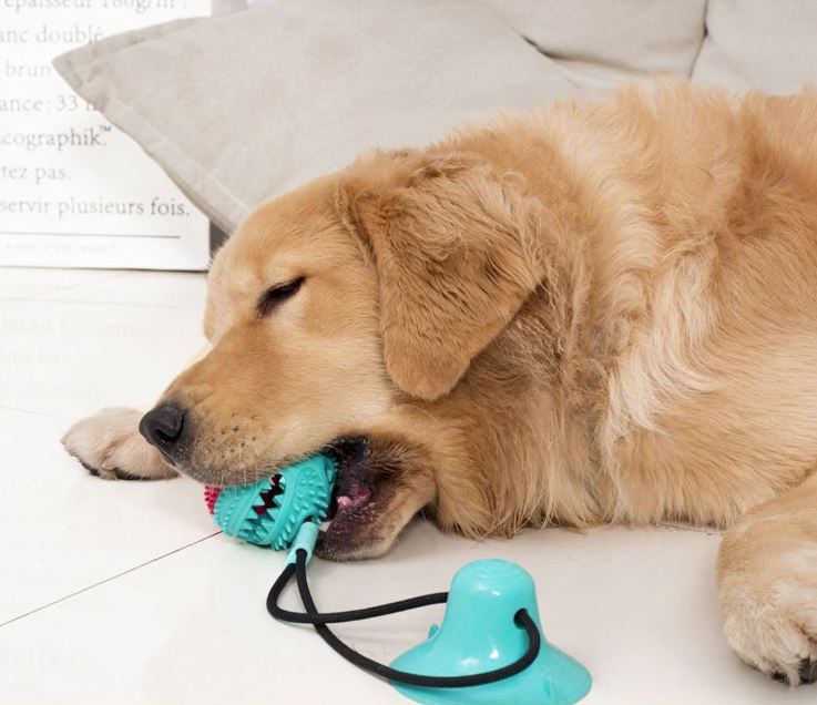 Speelgoed Hond Tug Toy Verstevigd voor Honden
