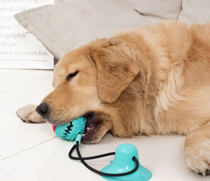 Speelgoed Hond Tug Toy Verstevigd voor Honden