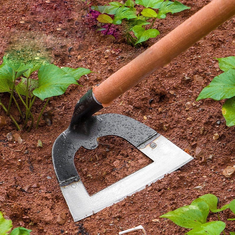 Tuin Decoratie en Accessoires voor een Perfecte Tuin - Velinix