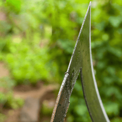 Tuin Decoratie en Accessoires voor een Perfecte Tuin