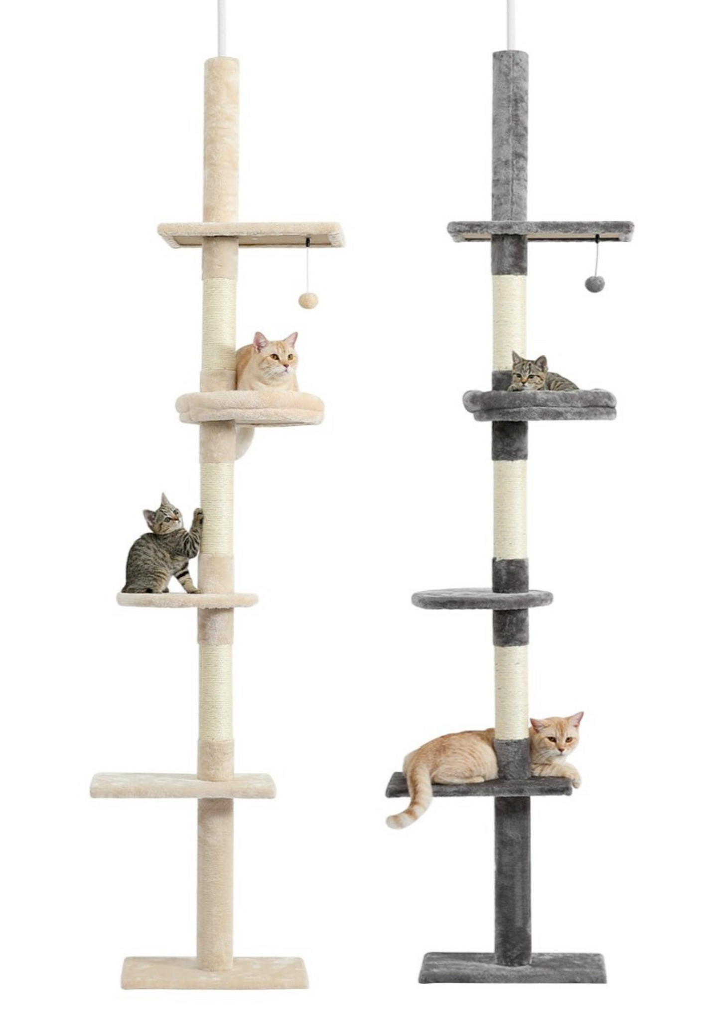 Kattenklimmer Verstelbaar met Sisal Krabpalen voor Veilig Kattenleven