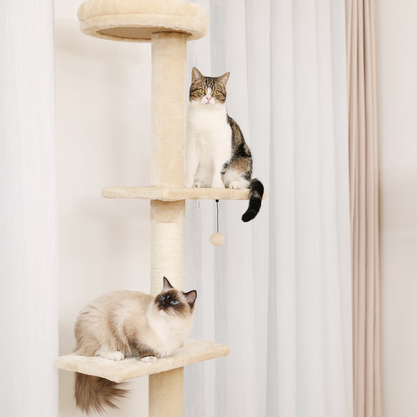 Kattenklimmer Verstelbaar met Sisal Krabpalen voor Veilig Kattenleven