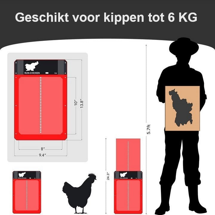 Kippenhok Veilig en Droog voor Kippen en Kuikens