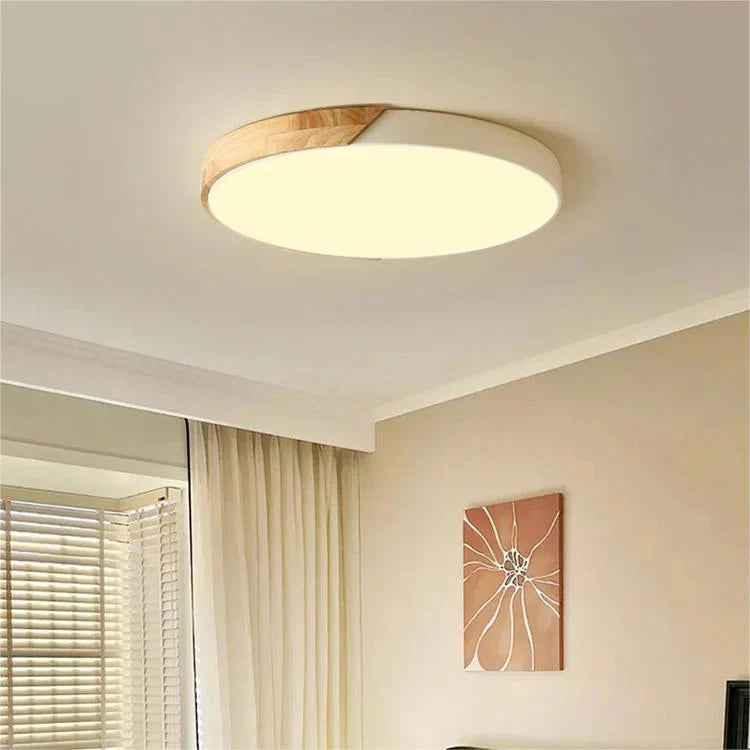 Ronde LED Plafondlamp met Kleurverandering