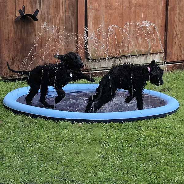 Honden Speelgoed en Accessoires voor Watersport