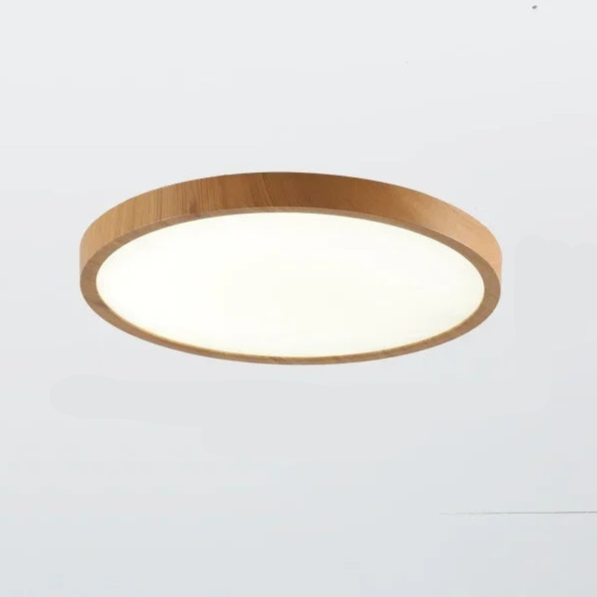 Cirkelvormige Plafondlamp Modern Design